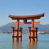 じんた 的头像