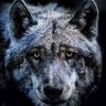 Jola D (Jola D Revenge)'s profile picture