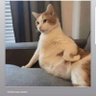 Miss Jay's profile picture
