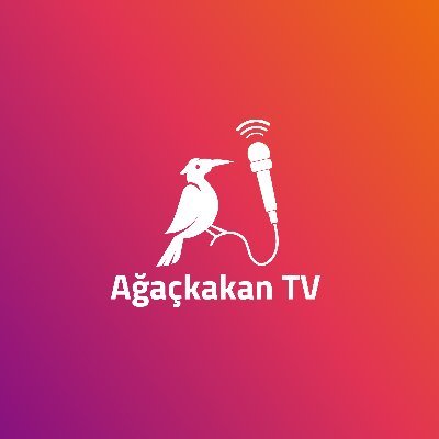 Ağaçkakan TV's profile picture