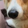 やまたか profil fotoğrafı