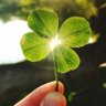 Profilbild von 🦋🍀Namfon_Sirirat