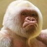 Jared Hurst profil fotoğrafı