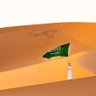 SandSurfer's profile picture