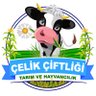 Çelik Çiftliği 的头像