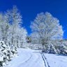 Фото профиля Narnia
