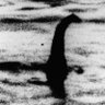 Фото профиля 🐲Puck-Ness Monster🦕
