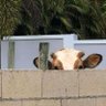 Profilbild von 1v1, Outside.