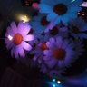 Фото профиля Gülben