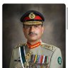 Malik Malik's profile picture
