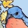 Profilbild von Squirb