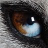☯️ Entity of Life ☯️ profil fotoğrafı