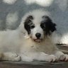 Profilbild von Ennyia