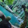 🇹🇷🌵kaktüs🌵🇹🇷's profile picture