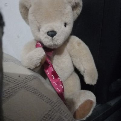 champone's profile picture
