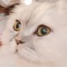 ぬ profil fotoğrafı