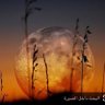 سحاب's profile picture