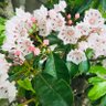 Фото профиля Salt of the Earth