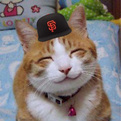 grace's profile picture