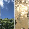 コウユウ母 的头像