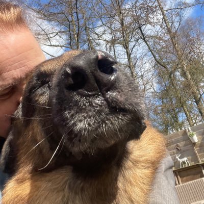 babilpaco's profile picture