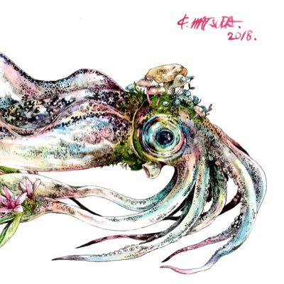 kenmatsuda1005's profile picture