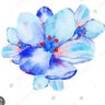 cyanthia's profile picture