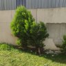 ATEŞBEG profil fotoğrafı