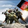 Ghazi Aman's profile picture
