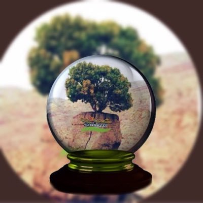 (شمالي) (ابو خالد التميمي)'s profile picture