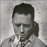 P Camus's profile picture