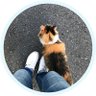 なこ's profile picture