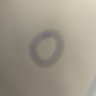 Lan danning's profile picture