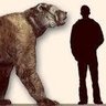 rejean gauthier profil fotoğrafı