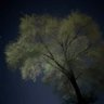 温哥华巡夜人's profile picture