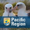 USFWS Pacific 的头像