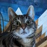 LumpyWumpus's profile picture