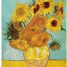 Sunflower's profile picture