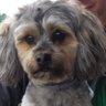 Profilbild von Max@Sparky_3