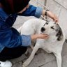 havvasuu profil fotoğrafı