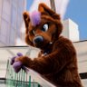 Kody🔜MFF?? profil fotoğrafı