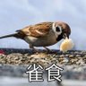 哈哈雀食 profil fotoğrafı