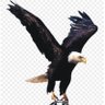 Rangkuti's profile picture