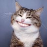 SureshRamSamy's profile picture