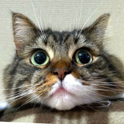 shelby______'s profile picture