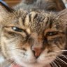 さささ's profile picture