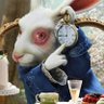 Conejo Blanco 🐰's profile picture