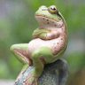Sagar Kafle's profile picture