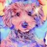 sora&matsuri's profile picture