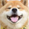 nikeruxi's profile picture